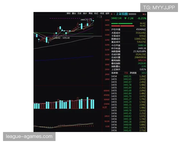 琼阿梅尼评价两极分化的原因：战术适配困境与表现波动性解析